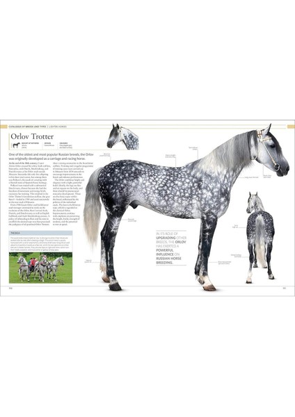 Horse Encyclopedia - Elwyn Hartley Edwards