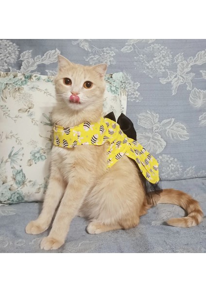 Arı Desenli Sarı Kedi Köpek Kıyafeti Elbisesi