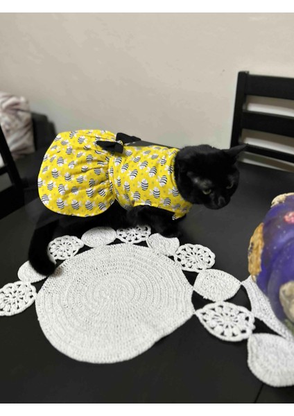 Arı Desenli Sarı Kedi Köpek Kıyafeti Elbisesi