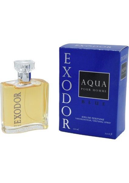 Blue Aqua Pour Homme EDP 100 ml