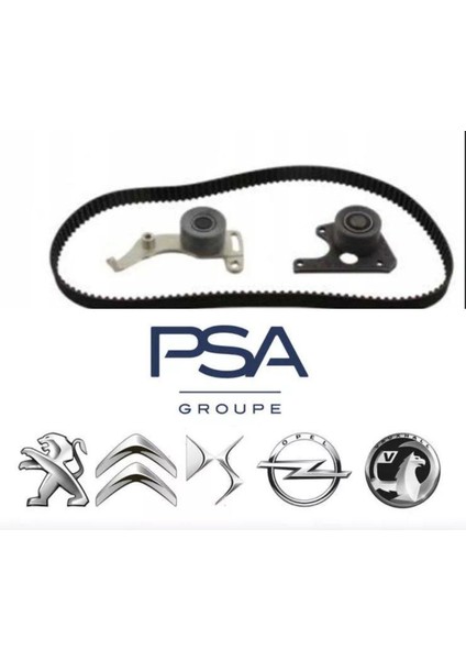 Peugeot Partner Berlingo 1.9 Dizel 1996-2002 Triger Seti (0831.R4-E118416-K025049XS)