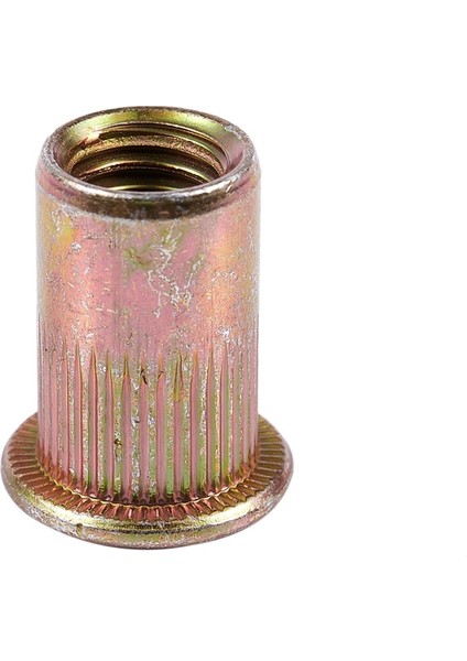 40 Adet Düz Kafa Metrik Çelik M8 Kör Uçlu Perçin Somunu (Yurt Dışından) modelleri