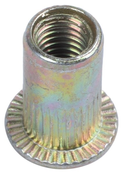 Flyeer 40 Adet Düz Kafa Metrik Çelik M5 Kör Uçlu Perçin Somunu (Yurt Dışından) indirimleri