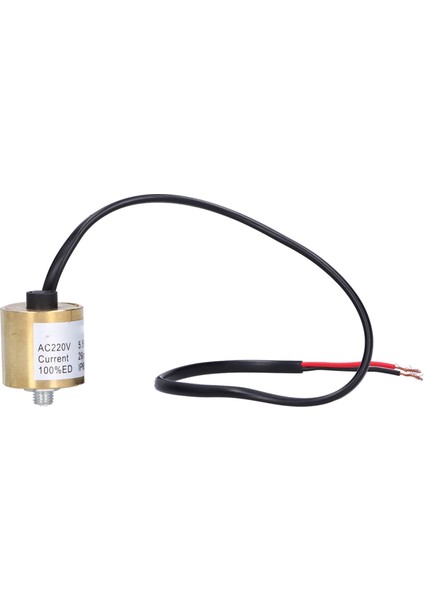 Solenoid Valf Elektrikli Sessiz 5.5A Ac 220 V Dt Silindirik Hava Kompresörü Parçaları (Yurt Dışından)