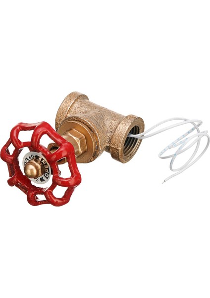 Vintage Steampunk 1/2 (Yurt Dışından) fırsatları