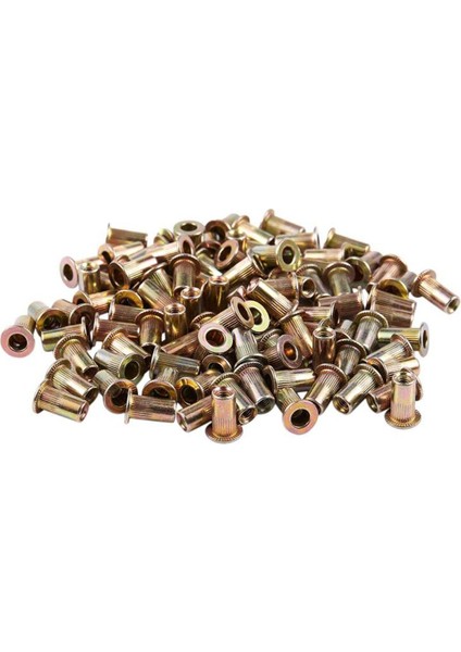 M3X9MM Havşa Başlı Kör Perçin Somunları Rivnuts Nutserts 100 Adet (Yurt Dışından)