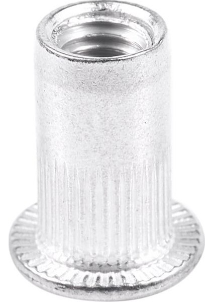 M5 Alüminyum Dişli Rivnuts Düz Başlı Perçin Somunları Nutserts 100 Adet (Yurt Dışından) fırsatları