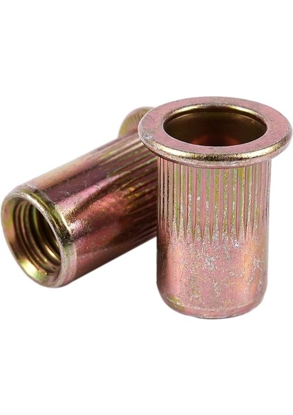 20 Adet Düz Kafa Metrik Çelik M8 Kör Uçlu Perçin Somunu (Yurt Dışından)