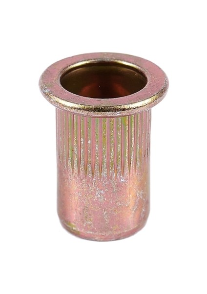 20 Adet Düz Kafa Metrik Çelik M8 Kör Uçlu Perçin Somunu (Yurt Dışından) modelleri