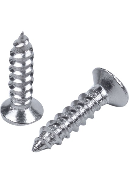 Kendinden Saldırılı VIDA-120 Adet x Philips Başlı Vida-Gümüş (Yurt Dışından) modelleri