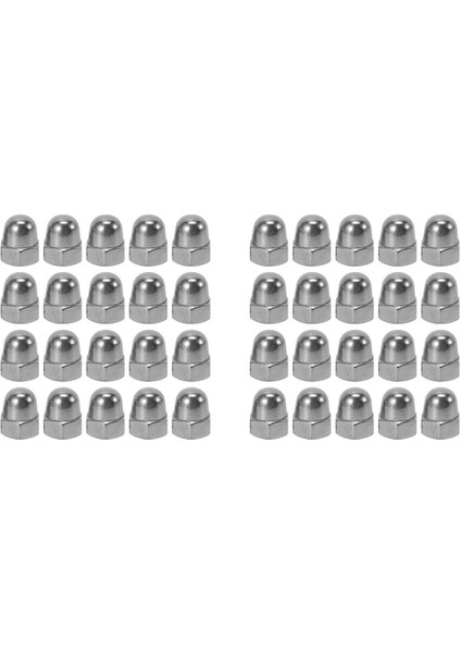 M6 Konu Dia Kubbe Kafası 304 Paslanmaz Çelik Kapak Meşe Palamudu Altıgen Somunlar 40 Adet (Yurt Dışından)