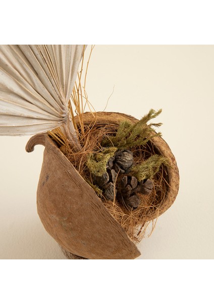 Harper Kuru Çiçek Dekor Natural modelleri