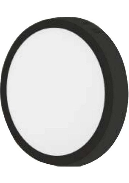 Ct 5238 30 W Sıva Üstü LED Spot Beyaz Işık 6400K