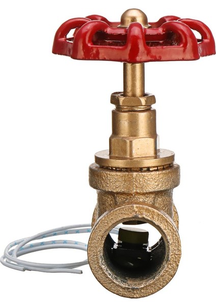Geleneksel Vintage Steampunk 1/2 (Yurt Dışından)