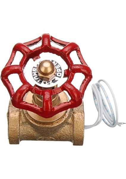 Geleneksel Vintage Steampunk 1/2 (Yurt Dışından)