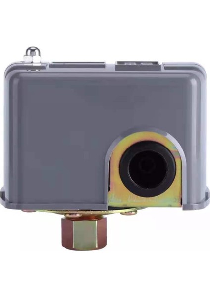 【ayak Izi】 Su Pompası Için Basınç Anahtarı (Yurt Dışından) fiyatları