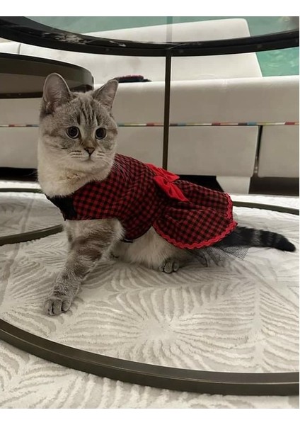 Kırmızı Siyah Kareli Papyonlu Dişi Kedi Köpek Kıyafeti Elbisesi Xlarge/xl/beden 4