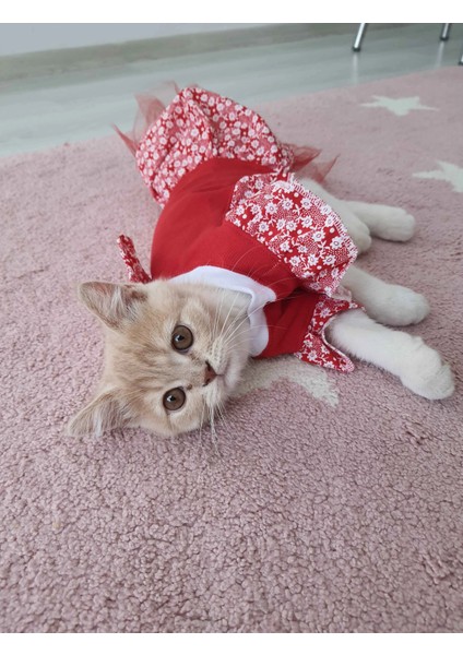 Çiçek Desenli Papyonlu Kırmızı Kedi Köpek Kıyafeti Elbisesi