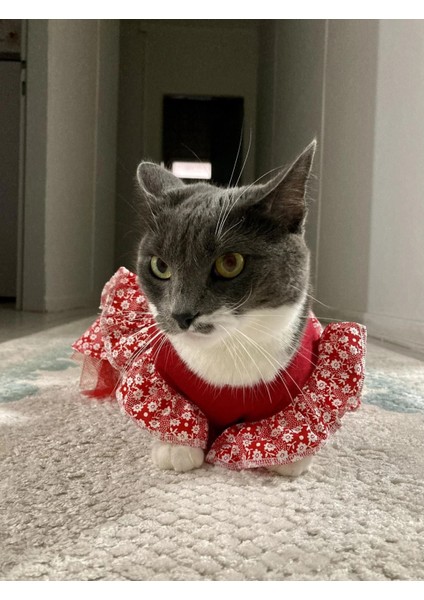 Çiçek Desenli Papyonlu Kırmızı Kedi Köpek Kıyafeti Elbisesi