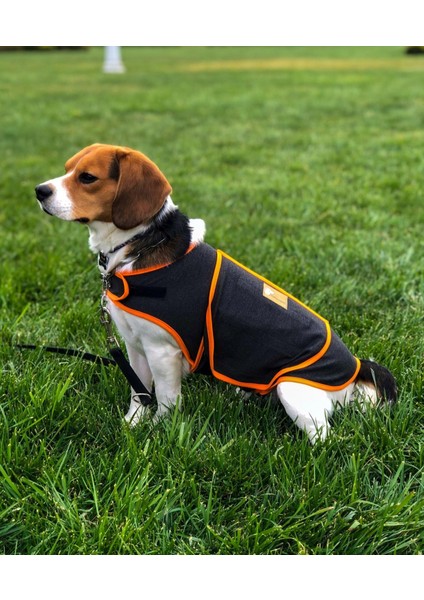 Köpekler Için Stres Azaltıcı Turuncu Hug Shirt fiyatları
