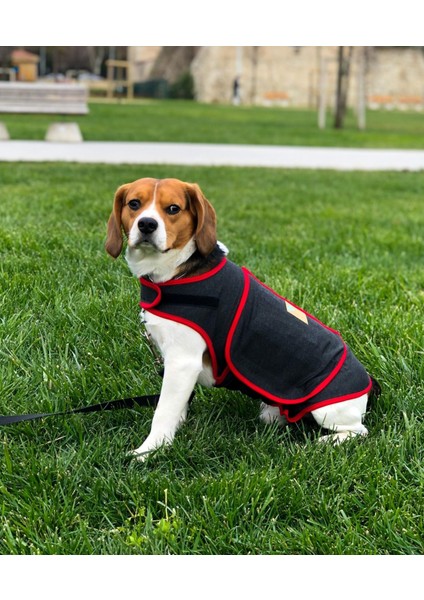 Köpekler Için Stres Azaltıcı Kırmızı Hug Shirt fiyatları