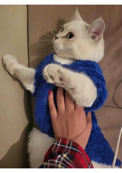 Welsoft Lastikli Mavi Kedi Köpek Kıyafeti Elbisesi