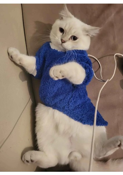Welsoft Lastikli Mavi Kedi Köpek Kıyafeti Elbisesi