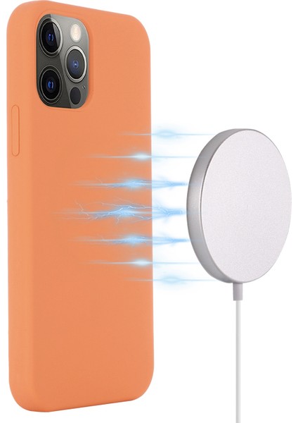 iPhone 14 Pro Max Telefon Kılıfı (Yurt Dışından)