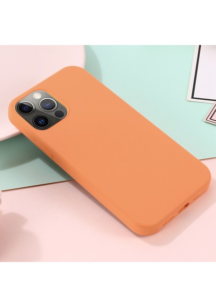 iPhone 14 Pro Max Telefon Kılıfı (Yurt Dışından)
