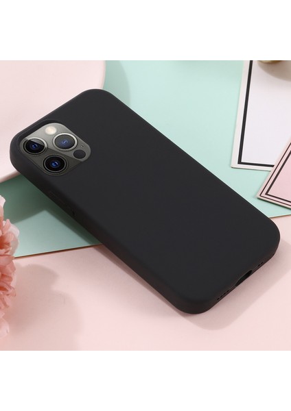 iPhone 14 Pro Max Telefon Kılıfı (Yurt Dışından)