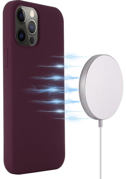 iPhone 14 Pro Max Telefon Kılıfı (Yurt Dışından)