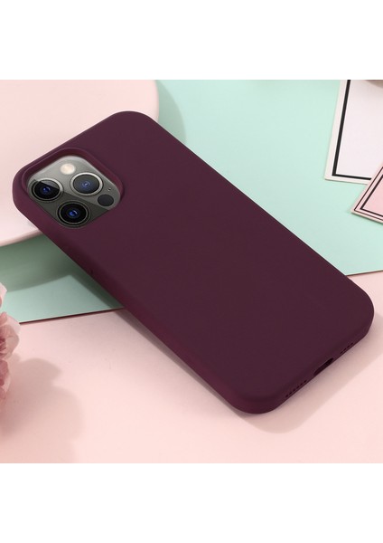 iPhone 14 Pro Max Telefon Kılıfı (Yurt Dışından)