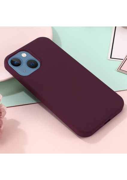 iPhone 14 Plus Telefon Kılıfı (Yurt Dışından)