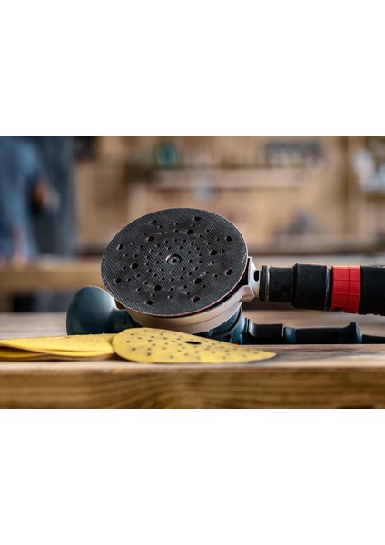 Expert 150 mm Zımpara Tabanı Sert Gex 150 2608900011 modelleri