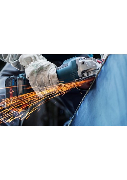 R781 Expert 125 mm 36 Kum Metal Disk Zımpara 2608621782 indirimleri