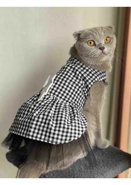 Beyaz Siyah Kareli Dişi Kedi Köpek Kıyafeti Elbisesi modelleri