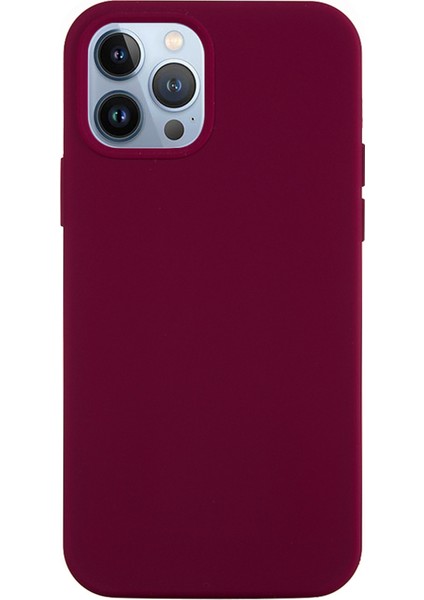 iPhone 14 Pro Max Telefon Kılıfı (Yurt Dışından)