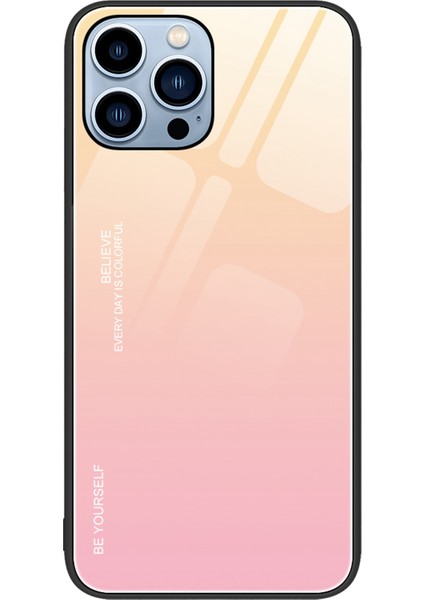 iPhone 14 Pro Max Telefon Kılıfı (Yurt Dışından)