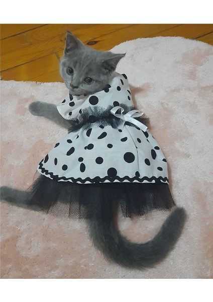 Siyah Puantiyeli Beyaz Dişi Kedi Köpek Kıyafeti Elbisesi fırsatları