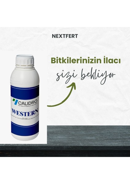 Western Bitki BESINI-100 ml