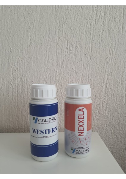 Western-Nexxela Bitki Besini Set