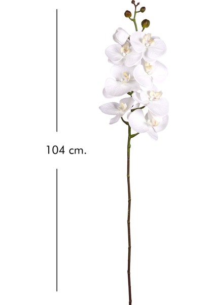 Yapay Orkide Gerçek Dokunuş Beyaz 104 cm . fırsatları