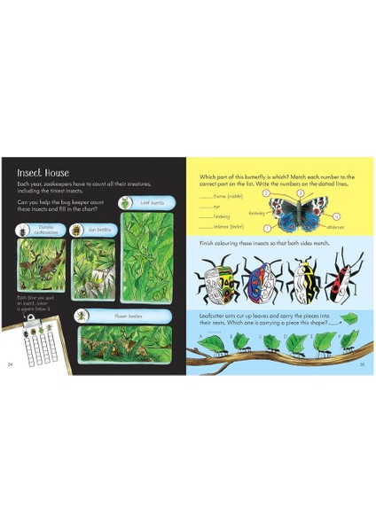 Little Children's Zoo Activity Book