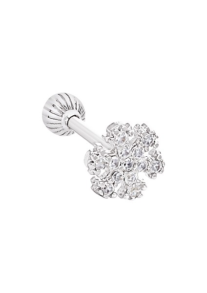 Gümüş Kartanesi Tragus Piercing