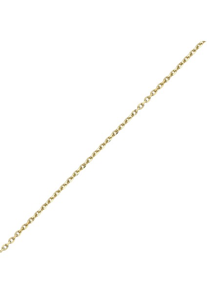 Klasik Altın Zincir 50 cm