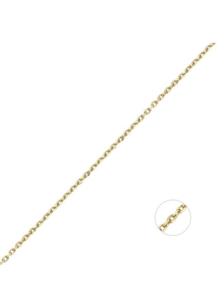 Klasik Altın Zincir 50 cm fiyatları