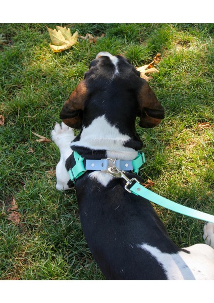 Su Geçirmez Biothane Köpek Göğüs Tasması Seti indirimleri
