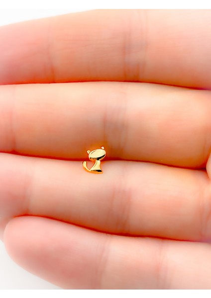 Cerrahi Çelik Kedi Figürlü Kıkırdak Helix Tragus PIERCING(1ADET) fiyatları