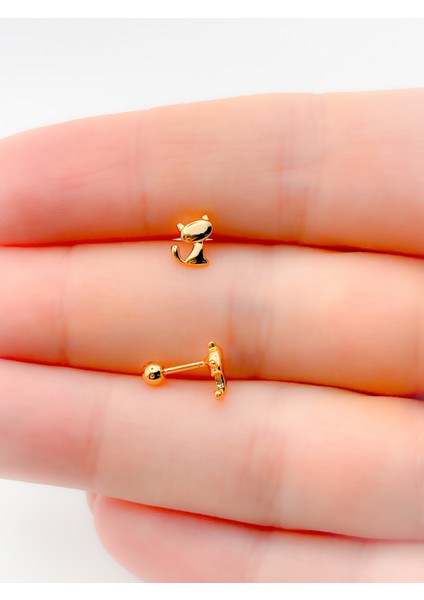 Cerrahi Çelik Kedi Figürlü Kıkırdak Helix Tragus PIERCING(1ADET) modelleri