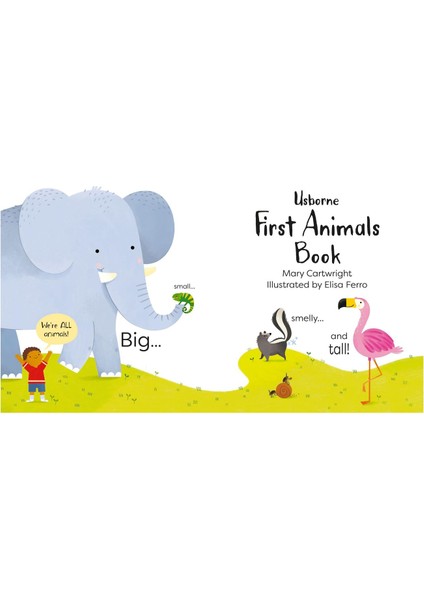First Animals Book